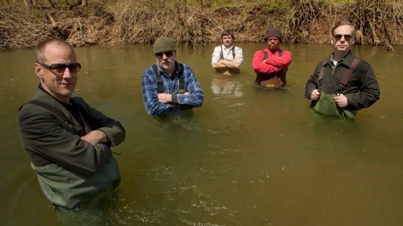 File:Tortoise background.jpg