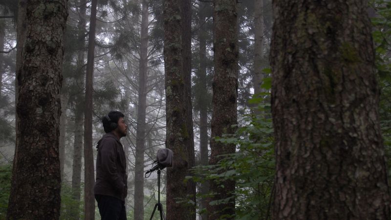 File:Yosi Horikawa background.jpg