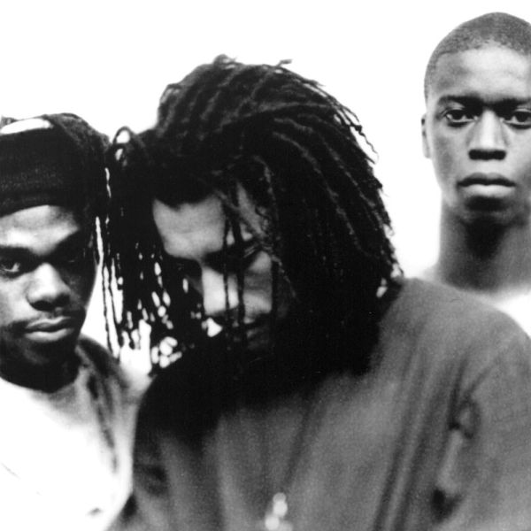 File:Urban Species.jpg